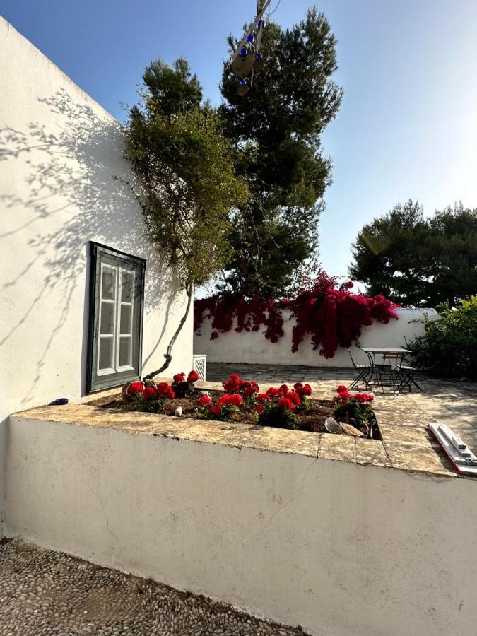 Гостьовий будинок Two Olive Trees Spetses Town Екстер'єр фото